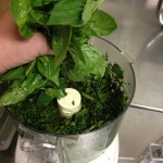 Basil into the food processor